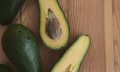 Atlixco celebra el Día Municipal del Aguacate Fuerte, orgullo agrícola de la región