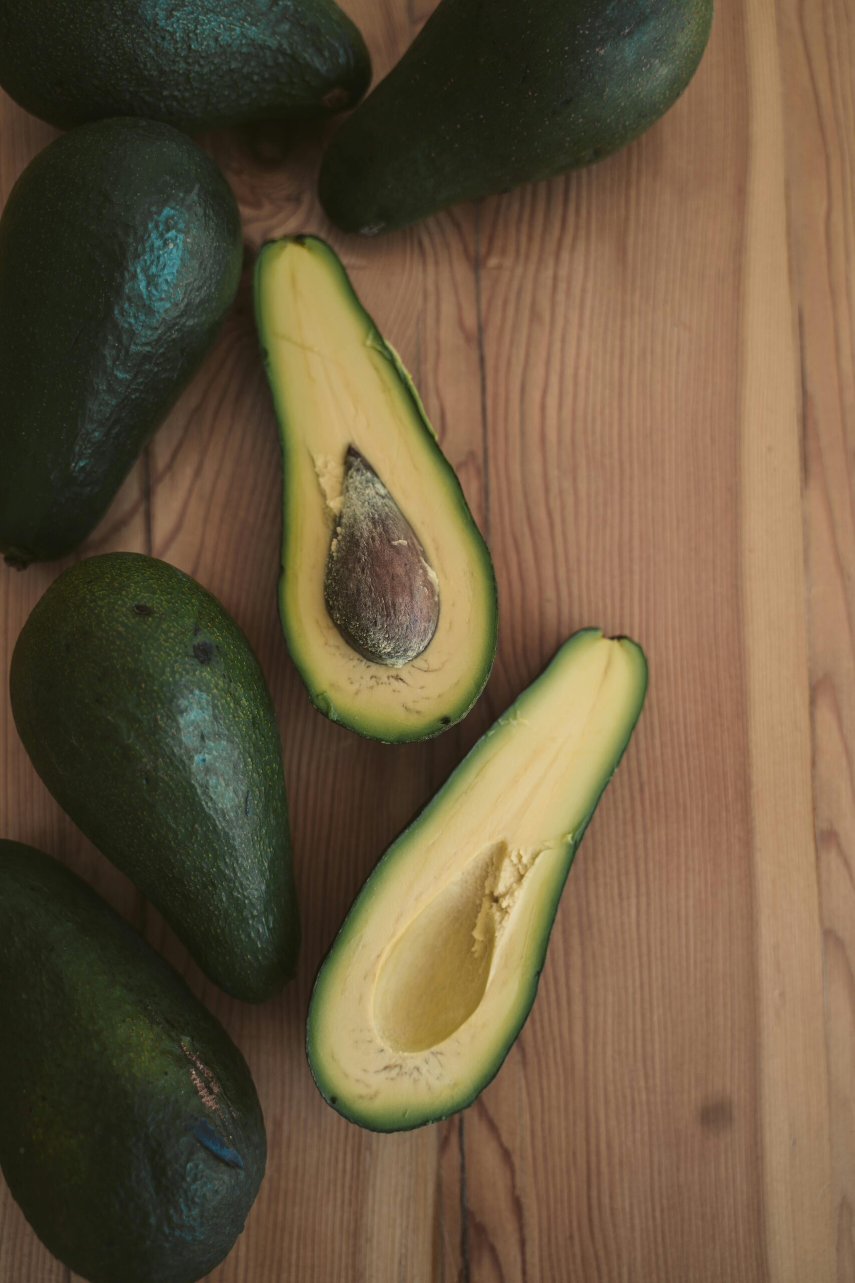 Atlixco celebra el Día Municipal del Aguacate Fuerte, orgullo agrícola de la región