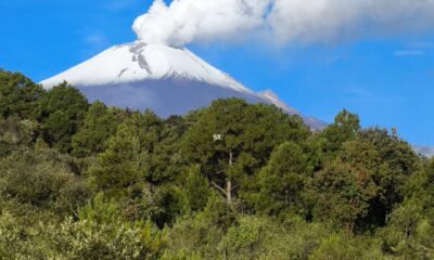 En las últimas 24 horas se registraron 37 exhalaciones y 28 minutos de tremor armónico; la ceniza se dirige principalmente al noroeste.