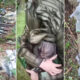 Tres saboteadores ucranianos fueron abatidos y tres detenidos por el FSB, con armas y explosivos, por planear atentados en territorio ruso.