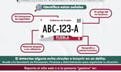 La SSP exhorta a realizar trámites solo en oficinas oficiales para evitar fraudes y delitos por uso de placas vehiculares falsas.