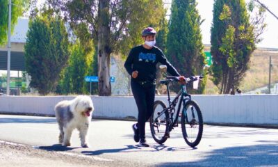 Vía Recreativa invita a poblanos a disfrutar del deporte y la convivencia