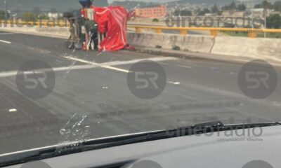 Camioneta que transportaba árboles frutales volcó en Periférico Ecológico rumbo a Atlixco; el conductor perdió el control al esquivar a otro auto. Camioneta que transportaba árboles frutales volcó en Periférico Ecológico rumbo a Atlixco; el conductor perdió el control al esquivar a otro auto.