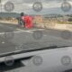 Camioneta que transportaba árboles frutales volcó en Periférico Ecológico rumbo a Atlixco; el conductor perdió el control al esquivar a otro auto. Camioneta que transportaba árboles frutales volcó en Periférico Ecológico rumbo a Atlixco; el conductor perdió el control al esquivar a otro auto.