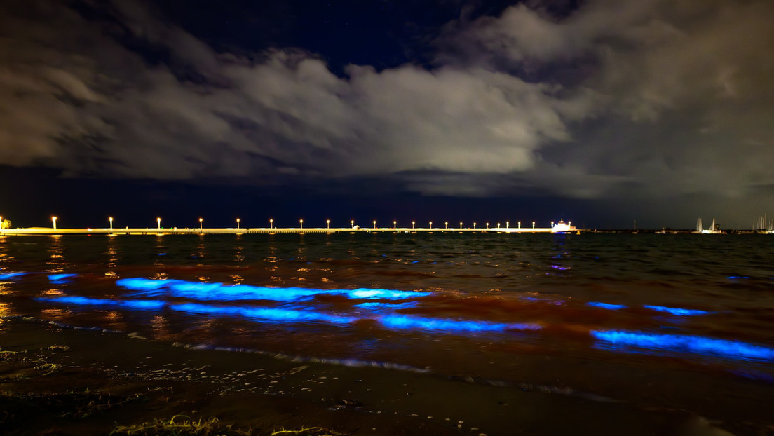 Un fenómeno de bioluminiscencia hizo que las olas de St. Kilda brillaran de azul; especialistas aseguran que es causado por algas Noctiluca scintillans.