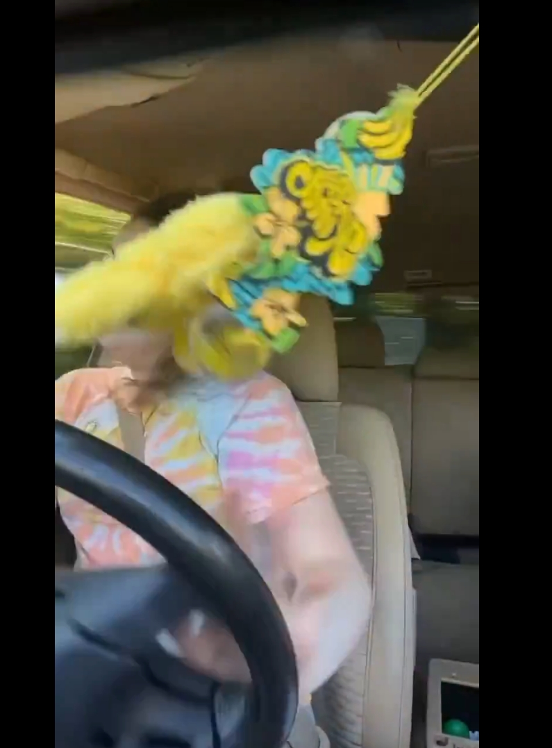 Porque una mujer golpeó el volante mientras cantaba Britney Spears filmándose y volcó.