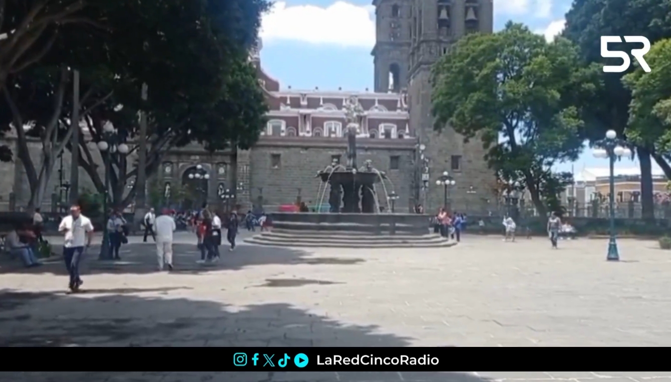 El Ayuntamiento de Puebla informó que en esta administración se han recibido entre 600 y 700 solicitudes para dictaminar árboles de riesgo.