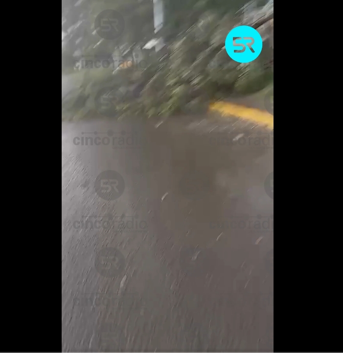 Un árbol colapsó sobre un taxi frente al Hospital General de Cholula; autoridades atienden el incidente y piden evitar la zona.