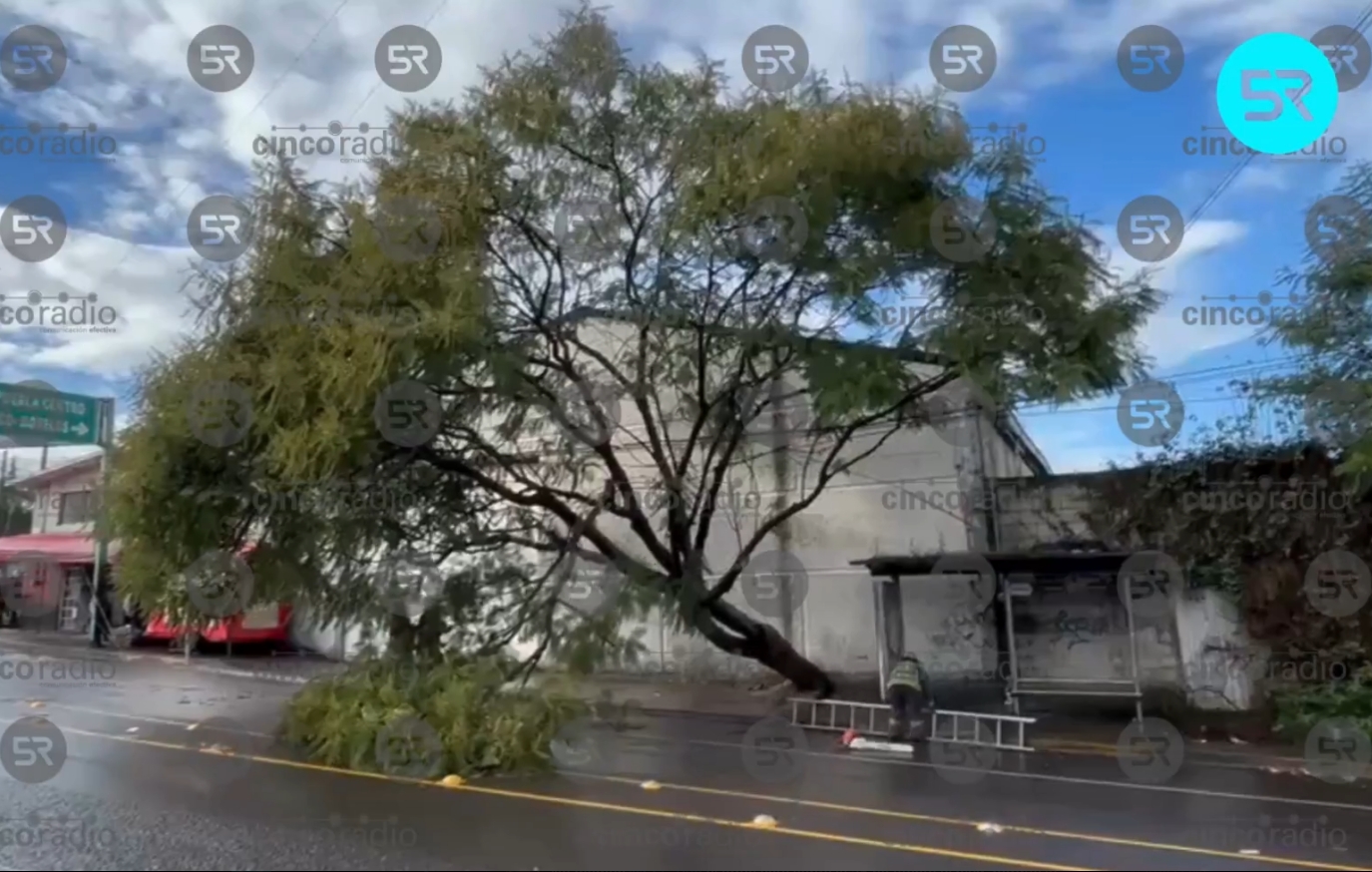Árbol caído y cables suspendidos afectan circulación en 25 Poniente y Esteban de Antuñano