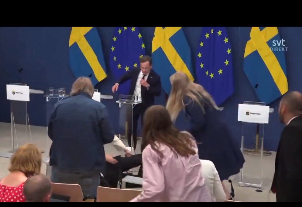 Ministra de Salud de Suecia se desploma en conferencia