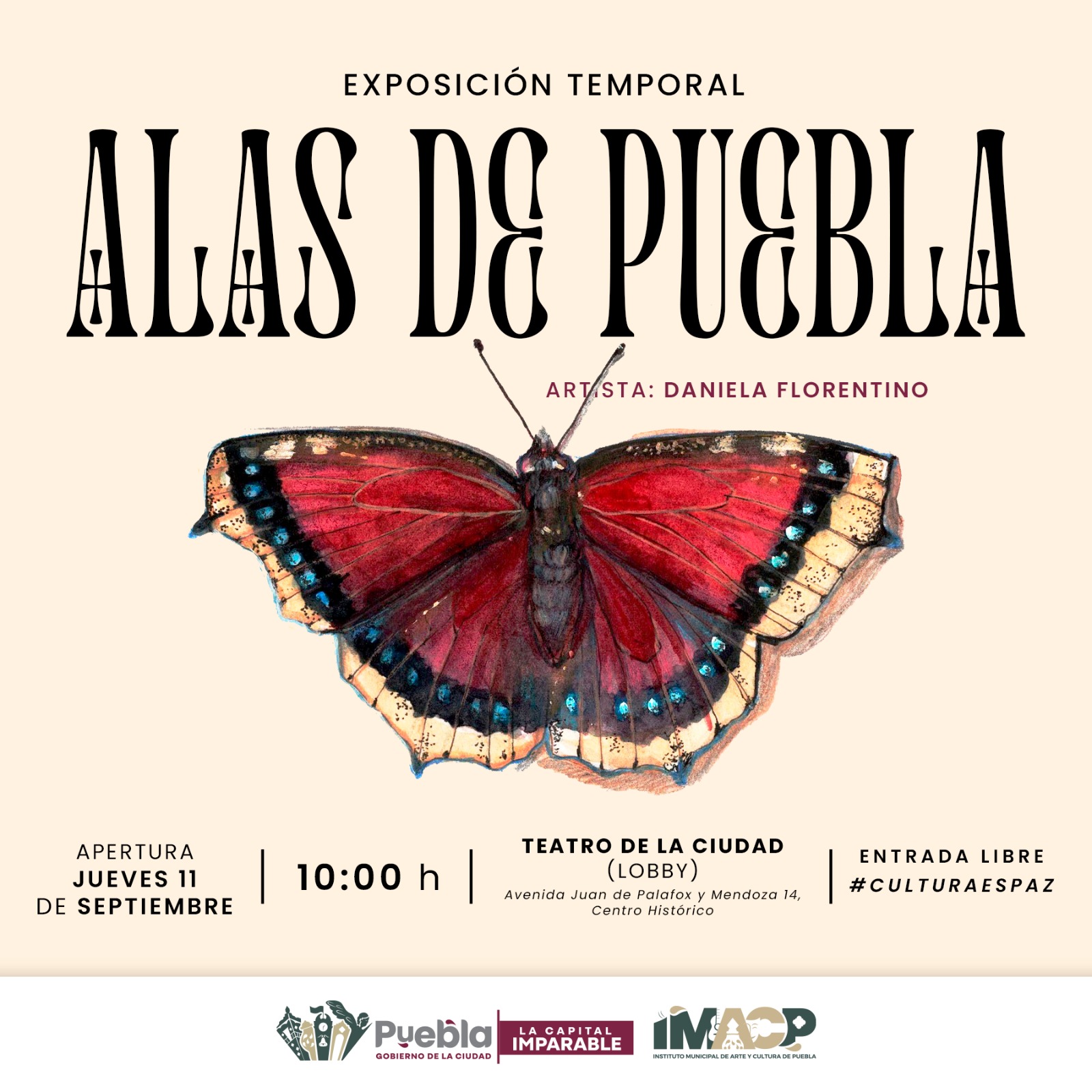 “Alas de Puebla”, exposición temporal de Daniela Florentino en el Teatro de la Ciudad
