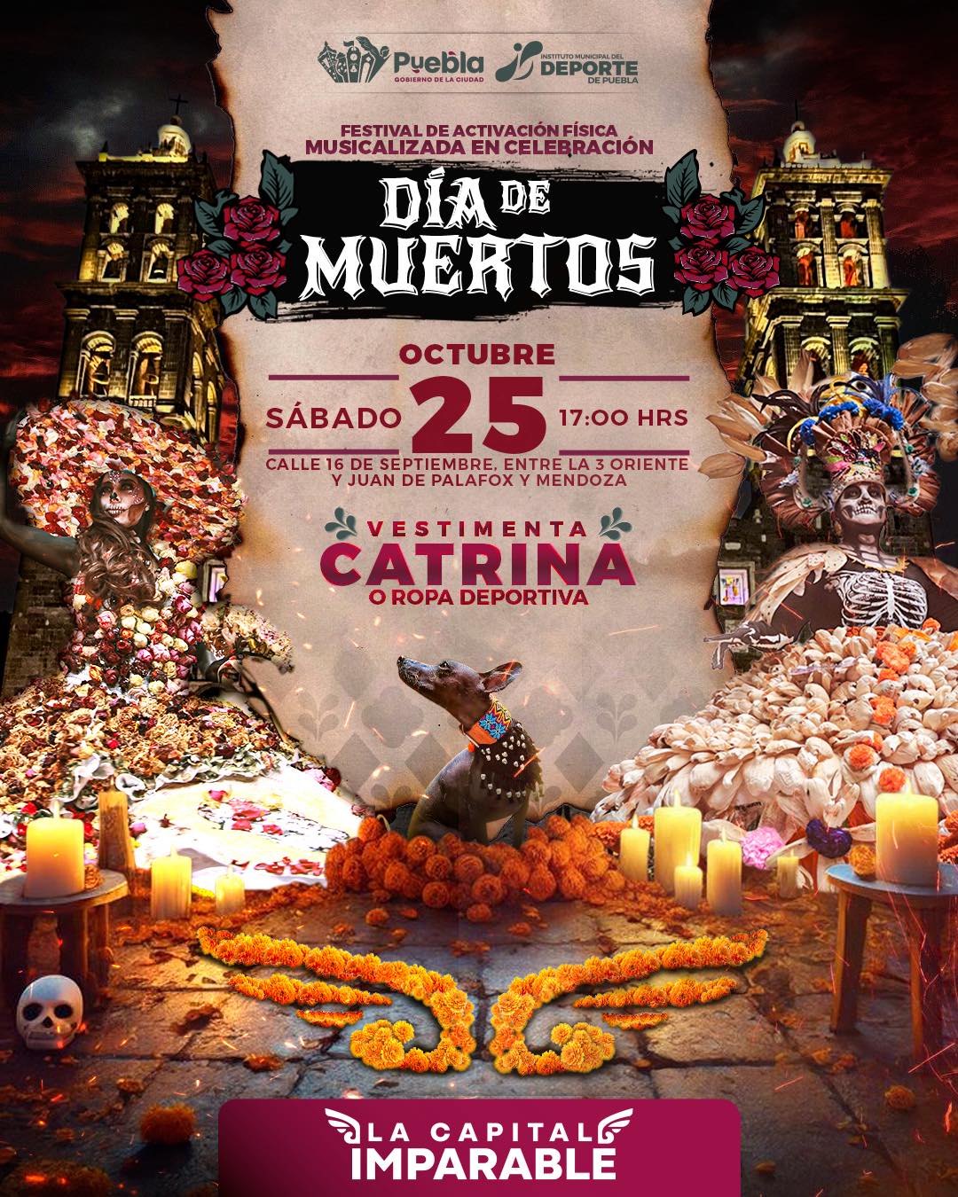 Vive el Día de Muertos con música, ejercicio y diversión en comunidad. Viste tu catrina o ropa deportiva y únete al festival en Puebla.