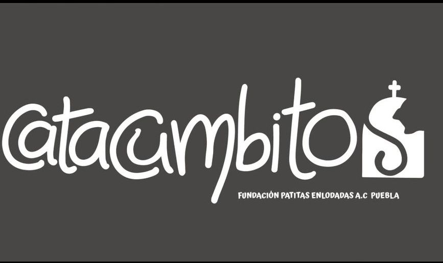 El programa “Catacumbitos Puebla” busca garantizar el bienestar de los gatos que habitan el Panteón Municipal mediante acciones de esterilización, vacunación y sensibilización ciudadana.