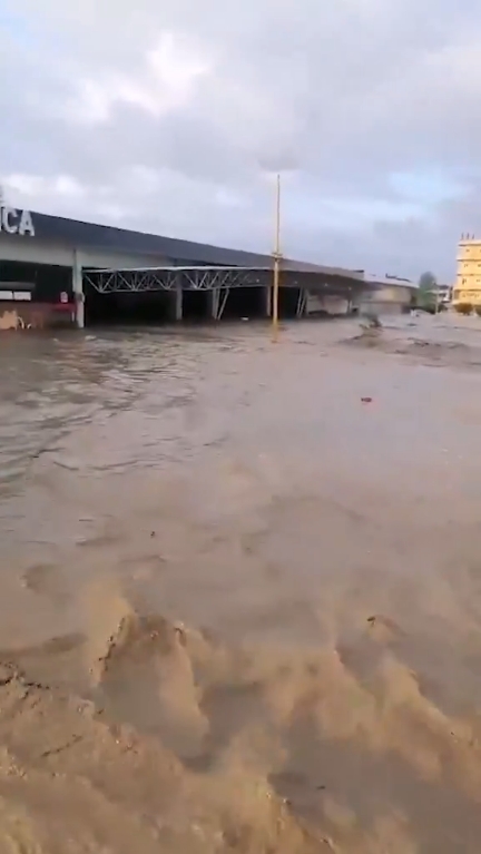 La tormenta tropical Raymond provocó desbordamiento del río Cazones, inundando la terminal de Poza Rica y varias colonias; transporte suspendido.