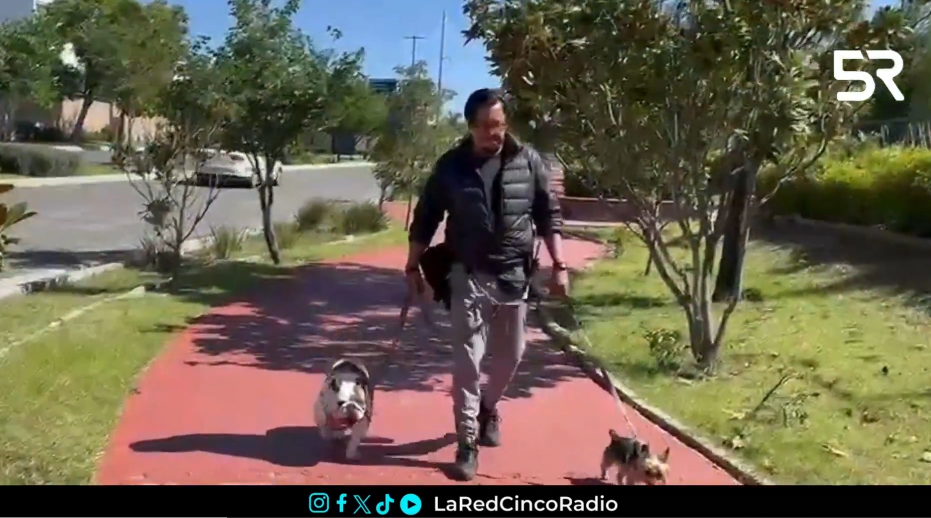 Pasear perros puede dejar más de 20 mil pesos al mes; Pablo Cortés narra cómo encontró en esta labor una nueva oportunidad tras la pandemia.