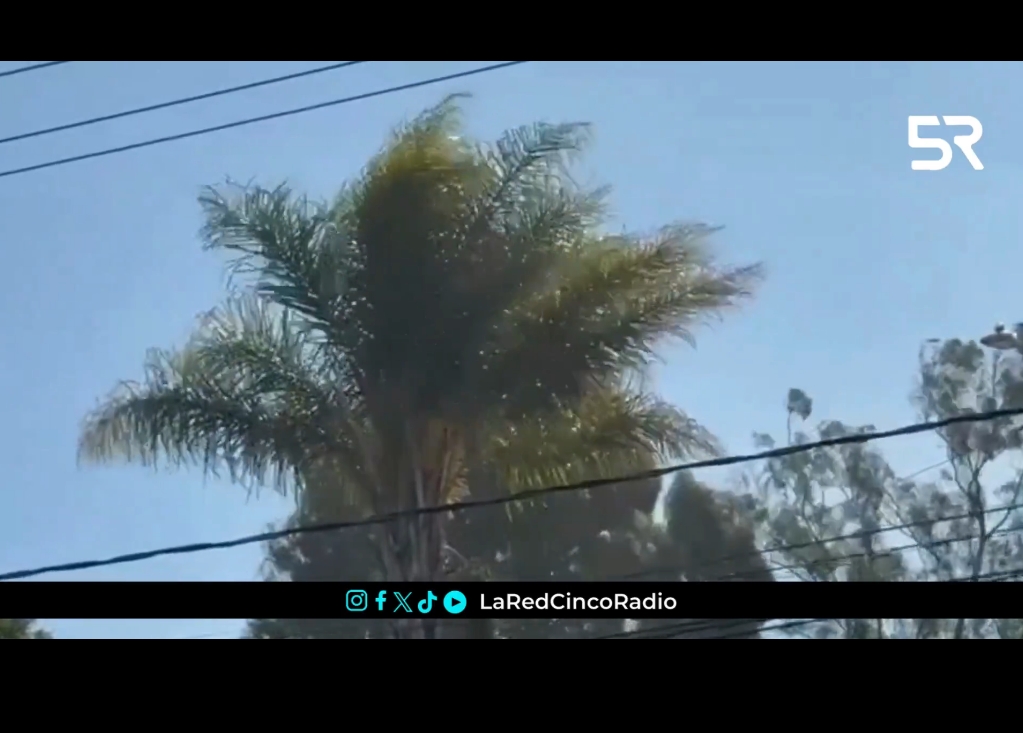 Se pronostican ráfagas de hasta 30 km/h en Puebla; autoridades recomiendan resguardarse y evitar zonas arboladas o estructuras inestables.