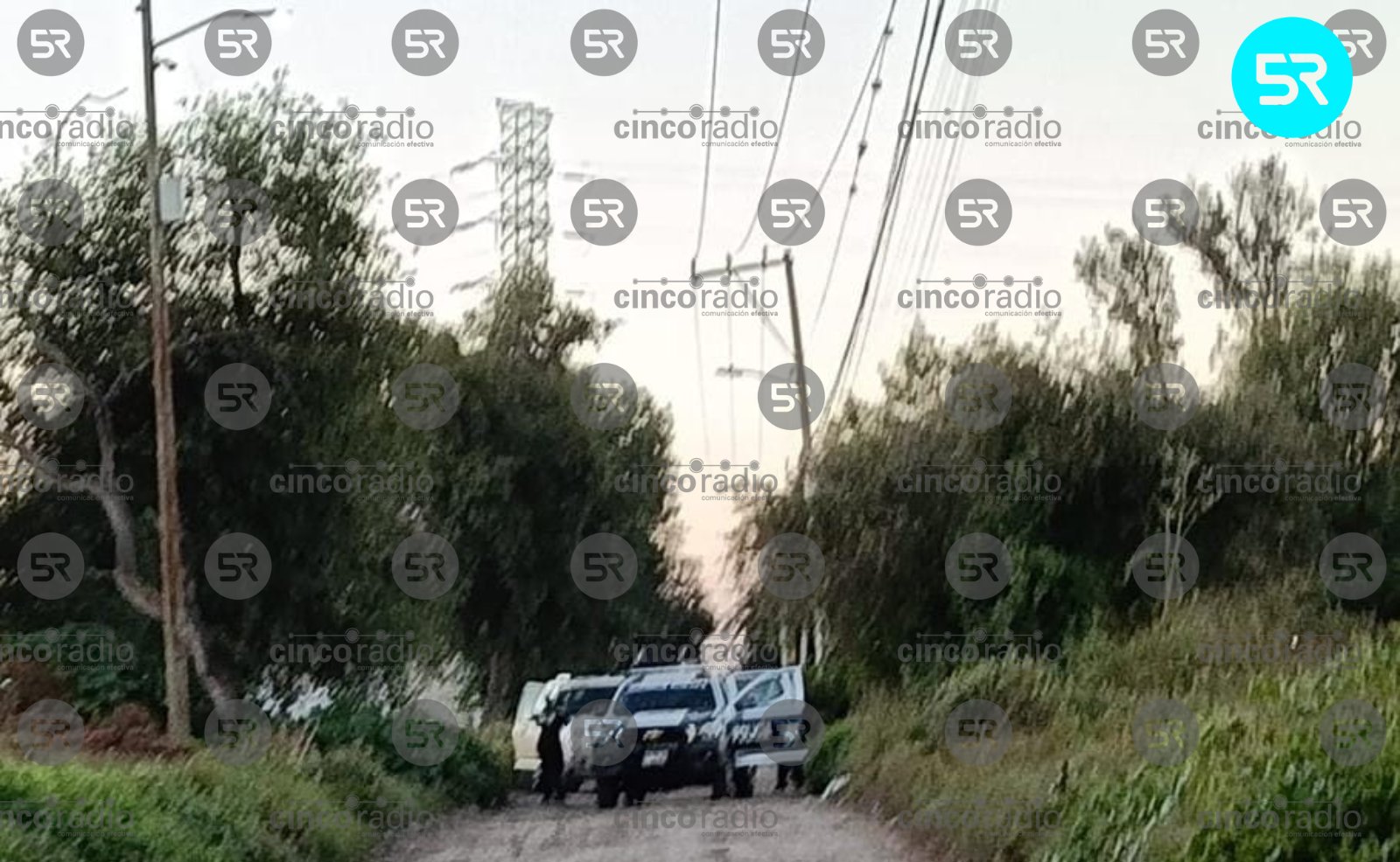 El 14 de octubre, autoridades evitaron el robo de un camión en la México–Puebla y aseguraron un vehículo tras persecución en San Salvador El Verde.