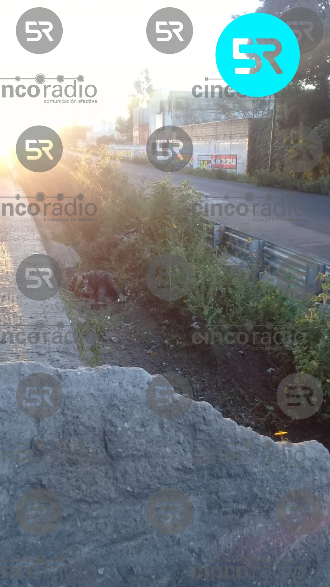 Un motociclista murió tras derrapar en la lateral de la Autopista México-Puebla; la víctima no ha sido identificada y habría salido proyectada.