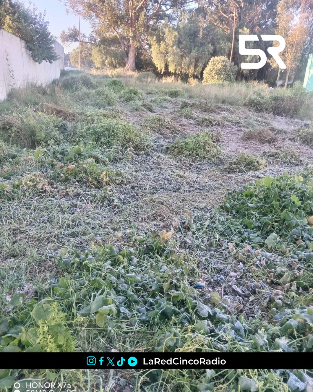 Temperaturas de hasta 4°C se registraron durante la madrugada; autoridades piden extremar precauciones ante el descenso térmico.