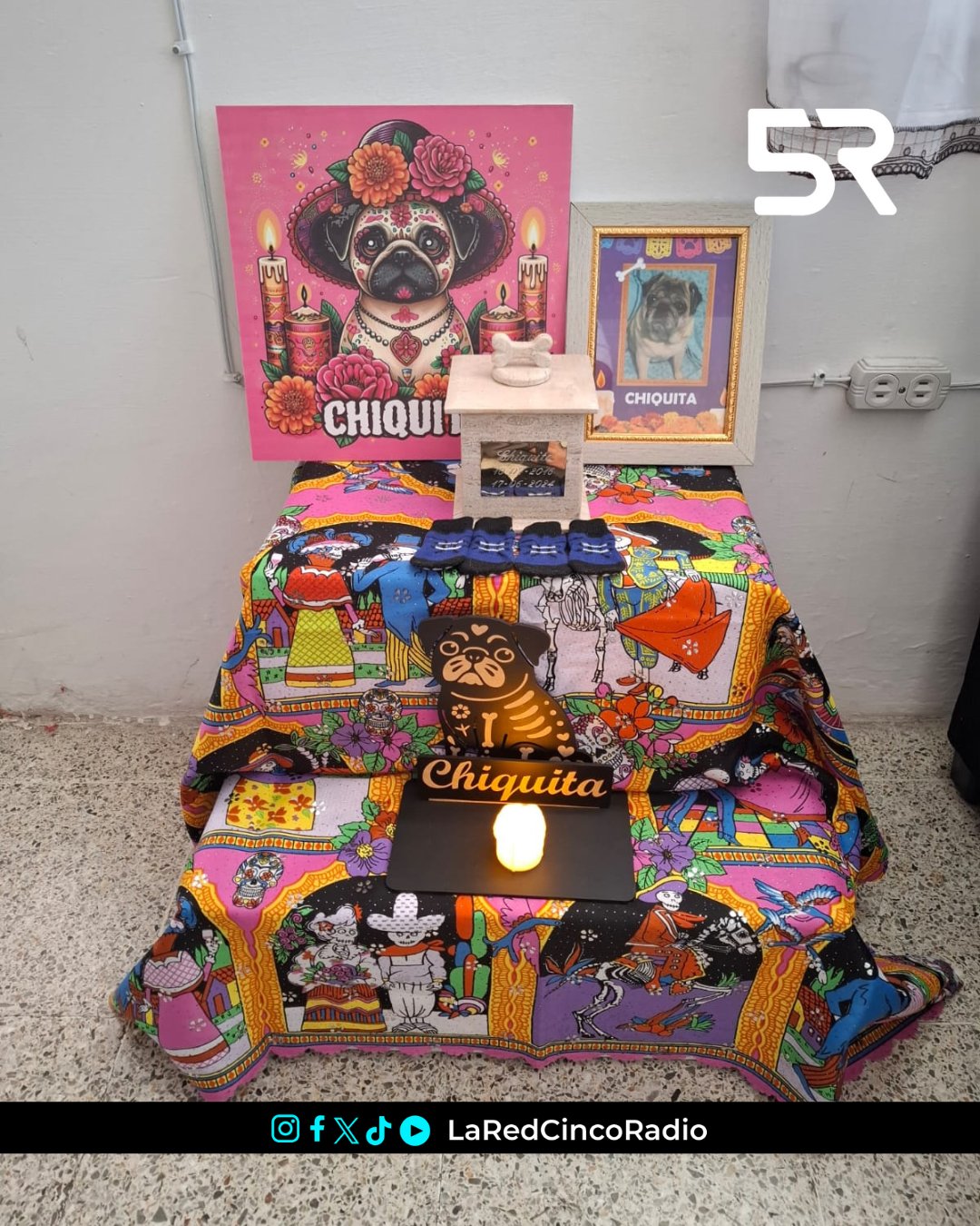 El 27 de octubre, México recuerda a las mascotas fallecidas con altares y ofrendas, marcando el inicio del Día de Muertos con ternura y gratitud.