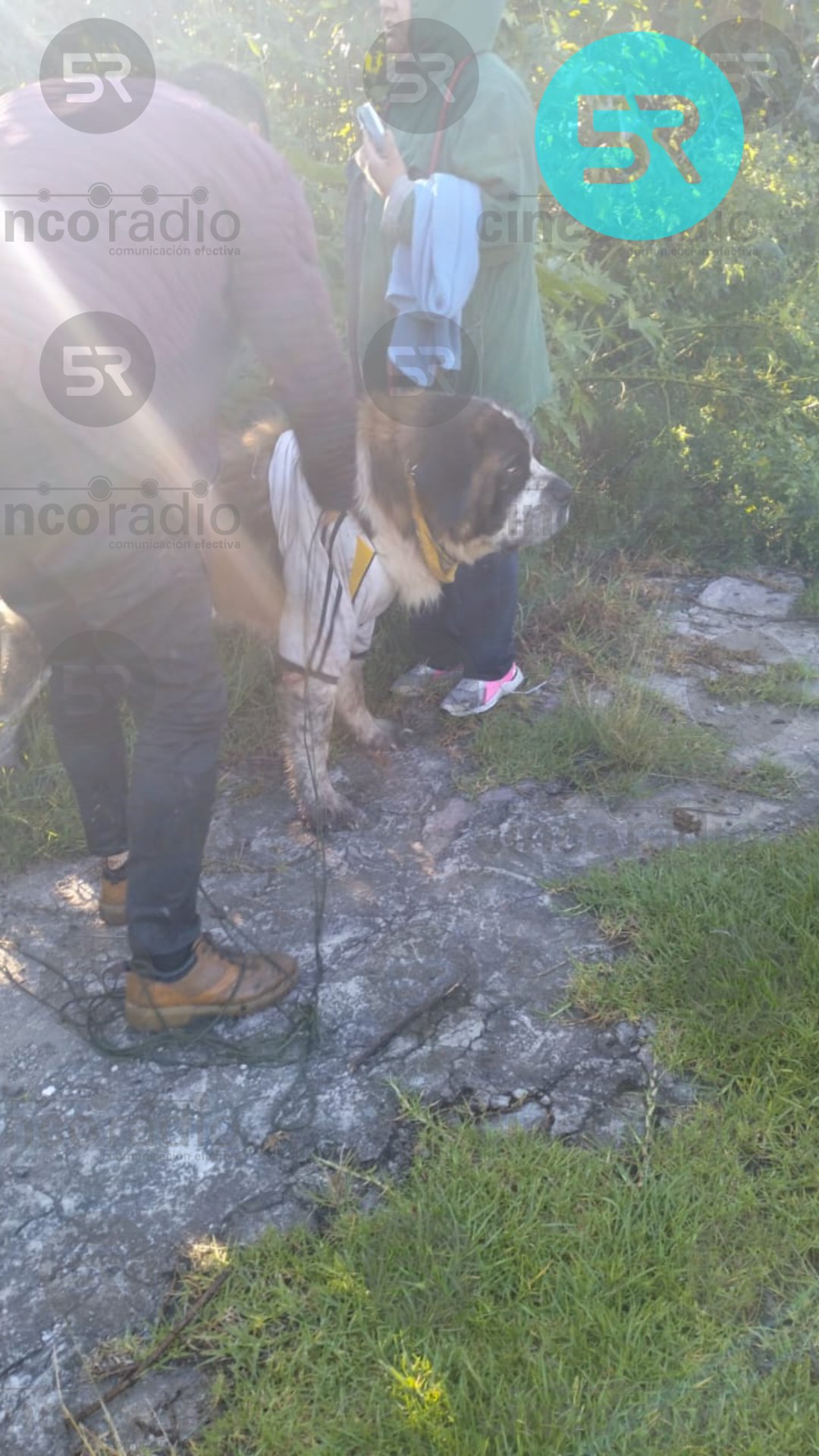 El incidente ocurrió a la altura de la unidad VW Sur, cerca de la planta tratadora de agua, y terminó sin lesiones graves.