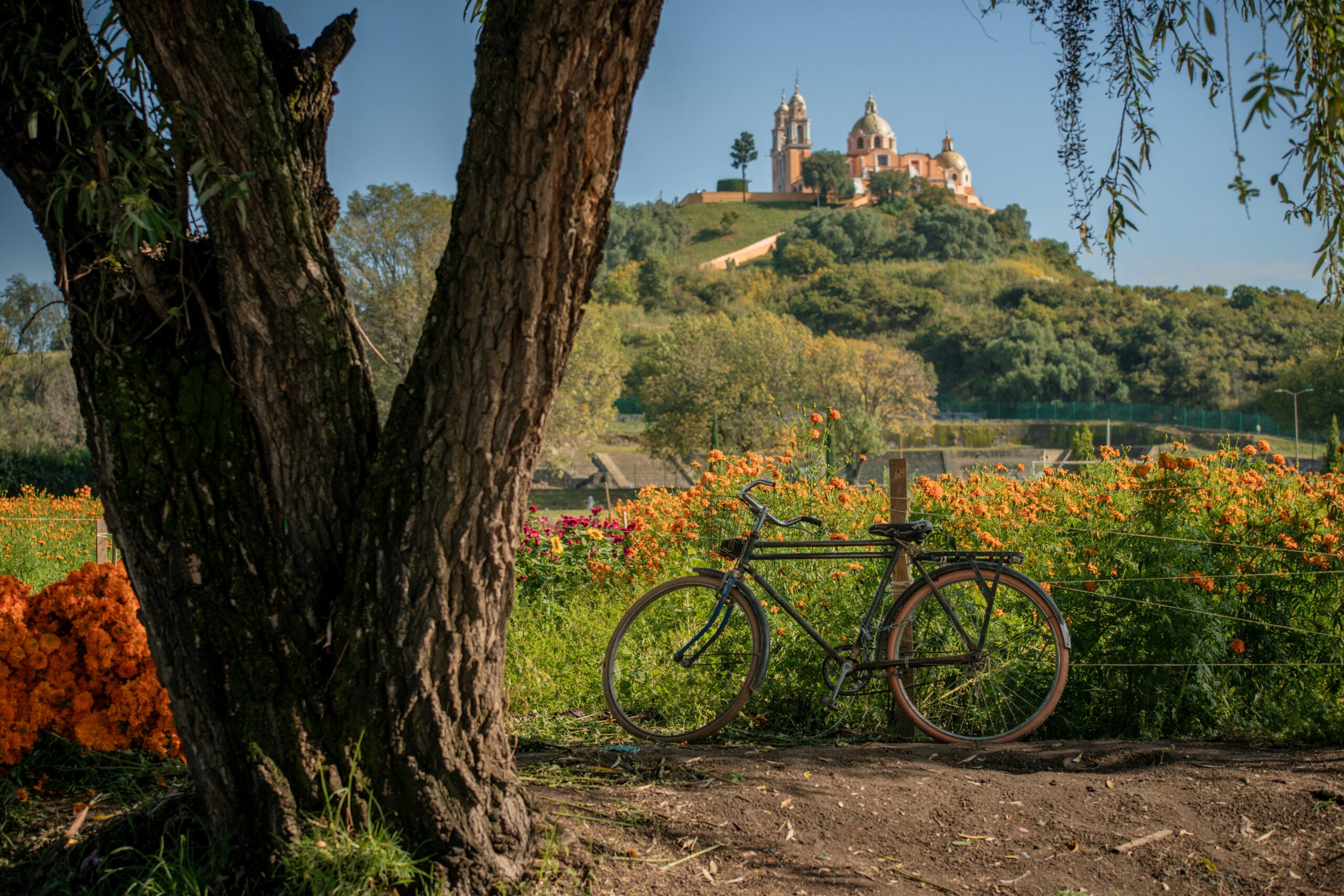 La Vía Recreativa Edición Día de Muertos invita a las familias poblanas a disfrutar actividades deportivas, culturales y recreativas en un ambiente festivo.