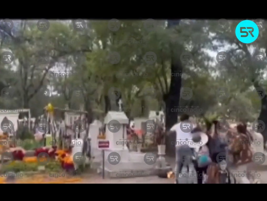 Dos mujeres y una familia con niños fueron picados por abejas que salieron de una tumba en el Panteón Municipal el 2 de noviembre.