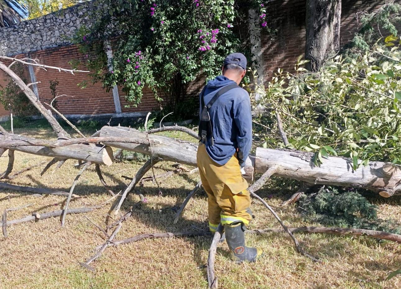 Autoridades de San Pedro Cholula atendieron afectaciones por el Frente Frío No. 13 y exhortan a la población a seguir medidas preventivas.