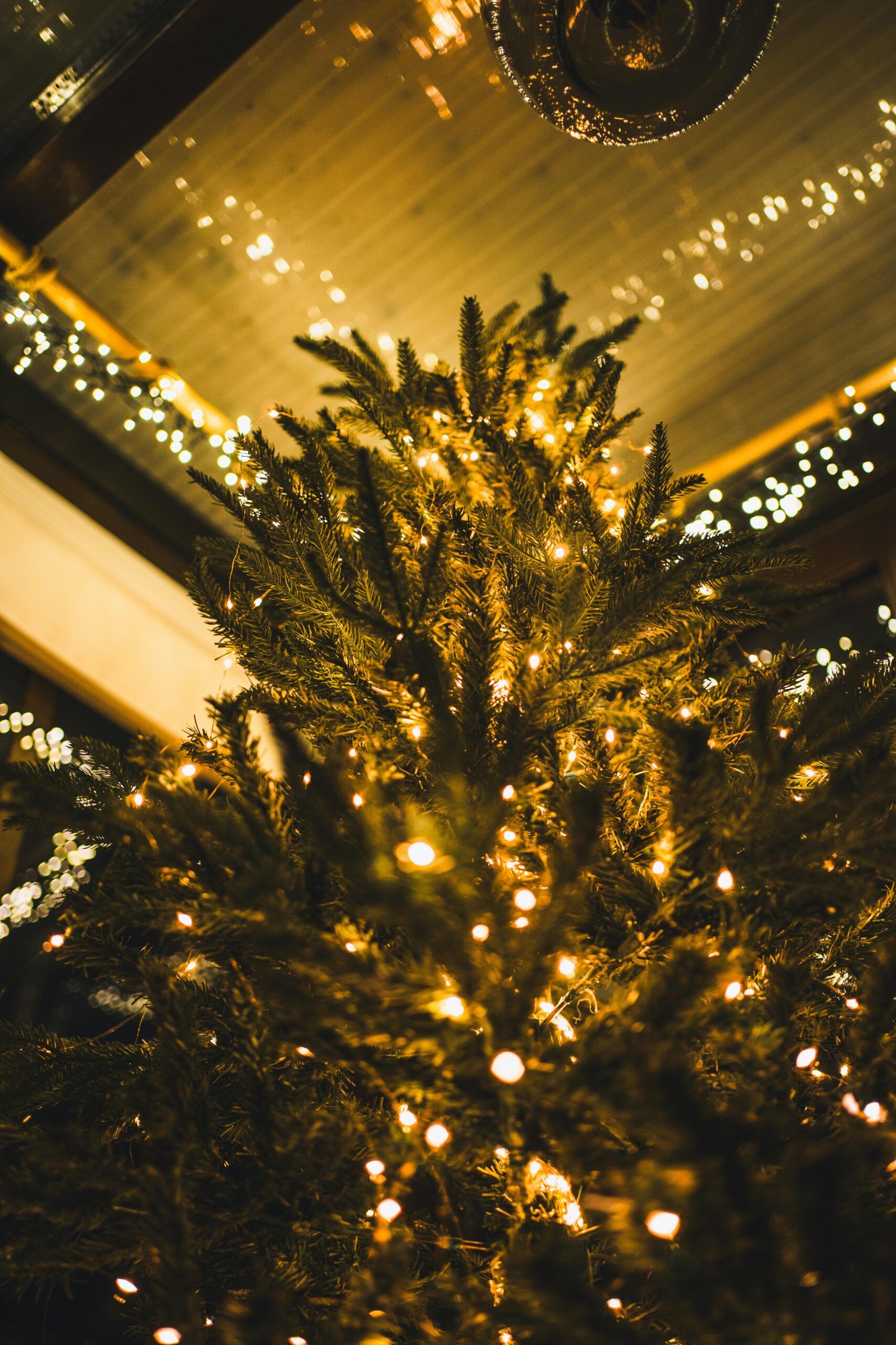 Una grúa colapsó durante la instalación de un árbol gigante en Manaos: un trabajador murió y otro resultó herido. Autoridades investigan fallas operativas.