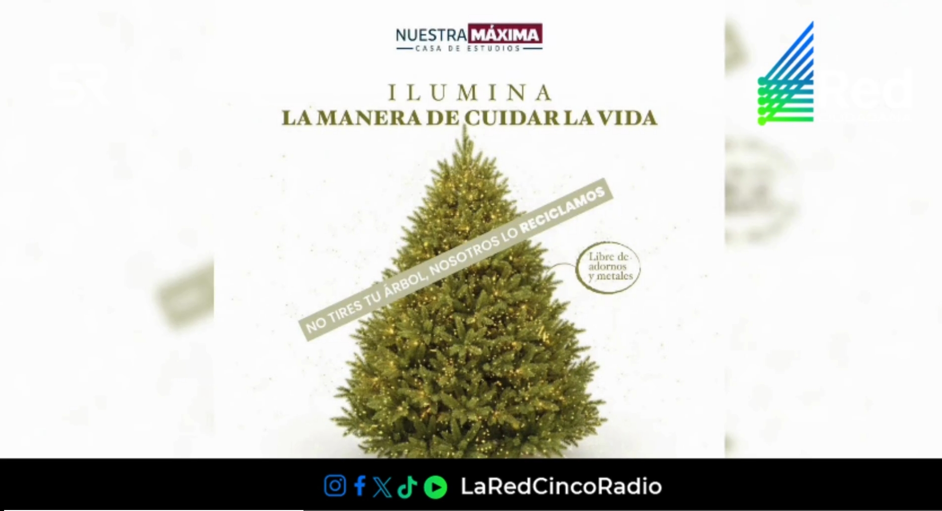 El Jardín Botánico de la BUAP recibe árboles naturales hasta el 6 de febrero de 2026 y entrega composta para plantas y jardines.