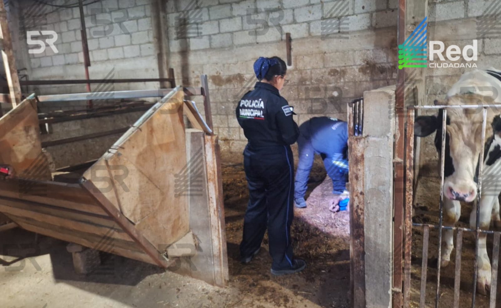 Un hombre de la tercera edad falleció en San Diego Xocoyucan, Ixtacuixtla; Fiscalía de Tlaxcala realizó el levantamiento del cuerpo.