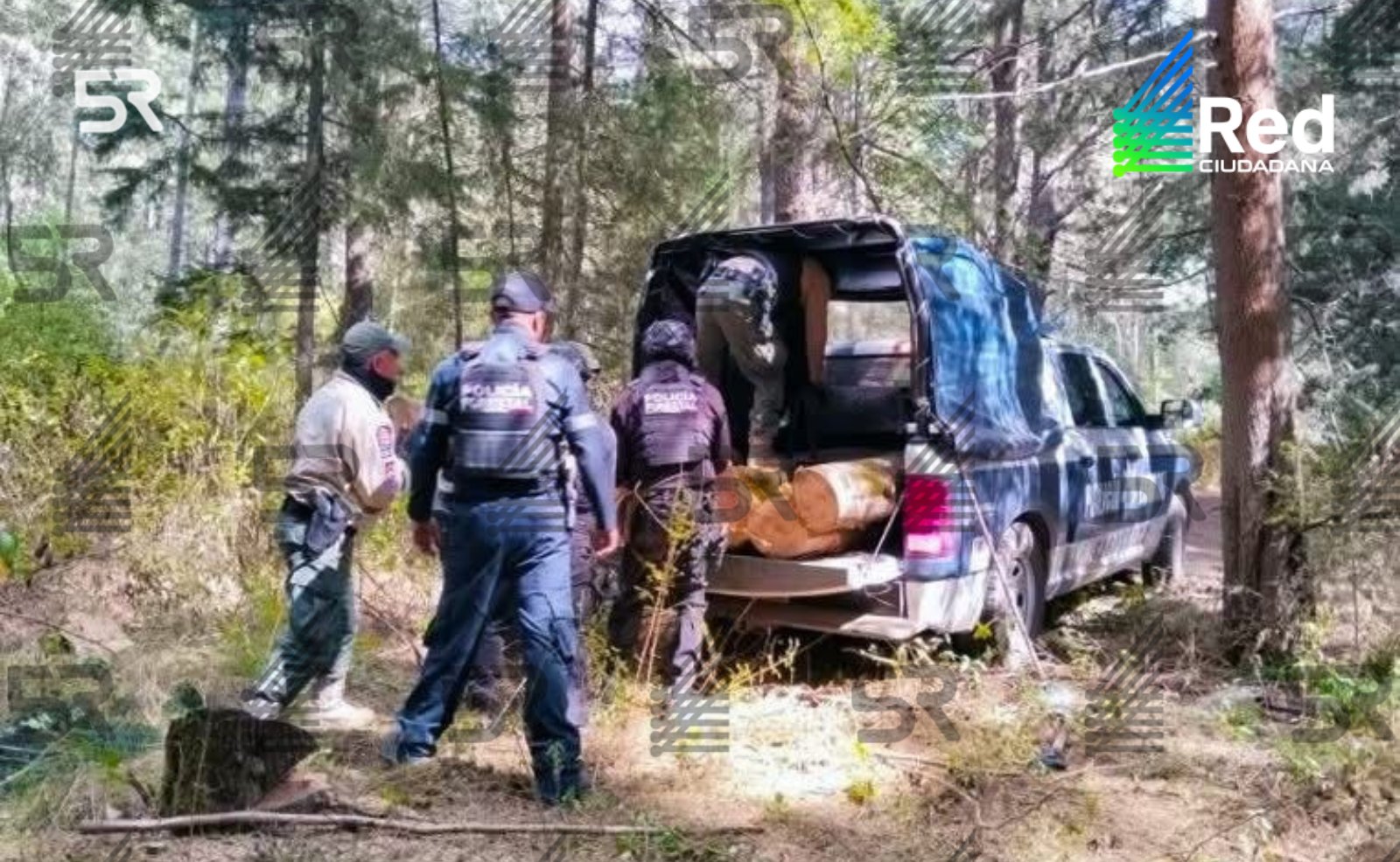 Subtítulo: Policías forestales decomisaron madera de procedencia ilícita en La Malinche; el material quedó a disposición de PROFEPA.