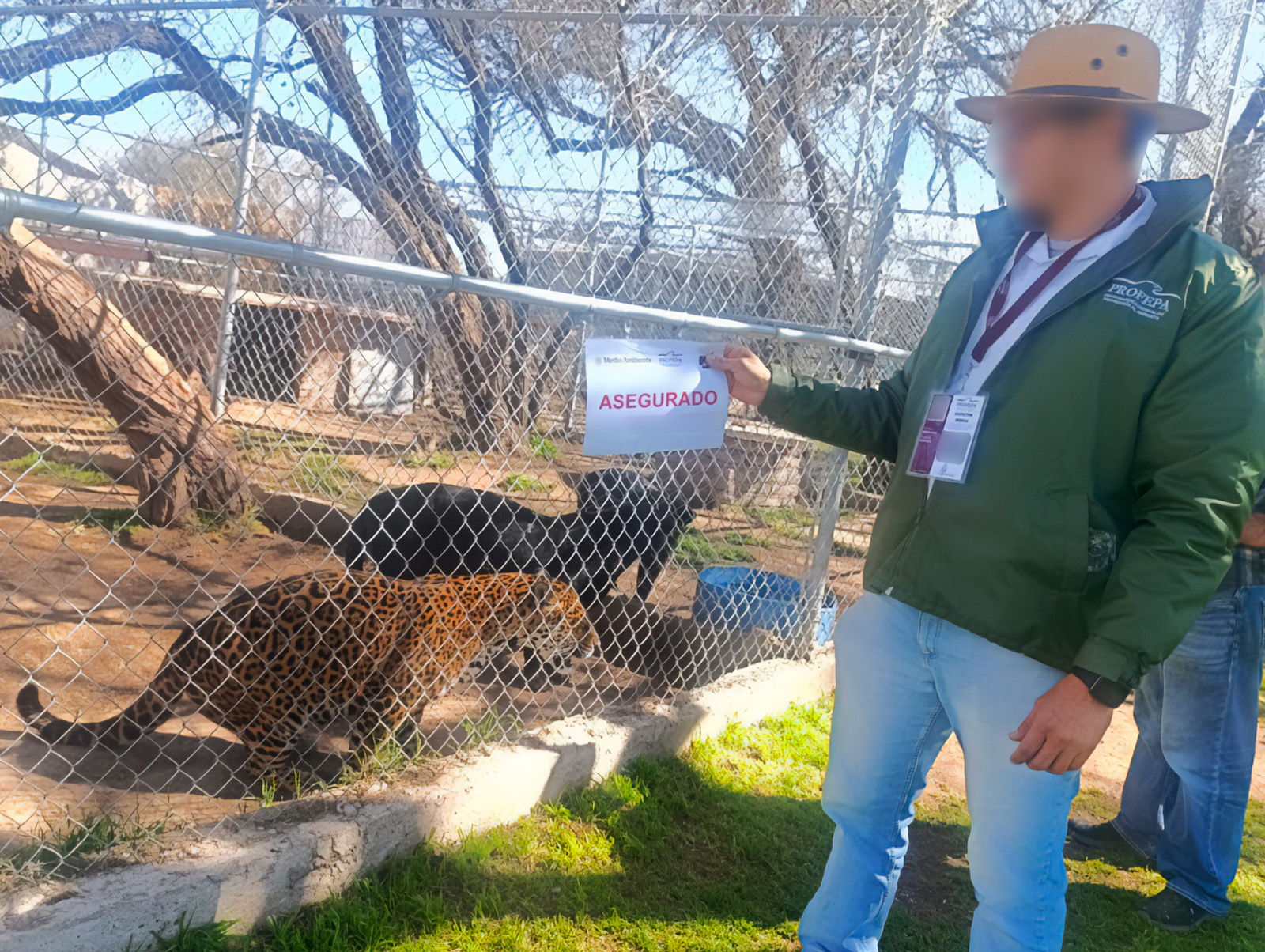 Profepa asegura 44 animales silvestres en Aguascalientes