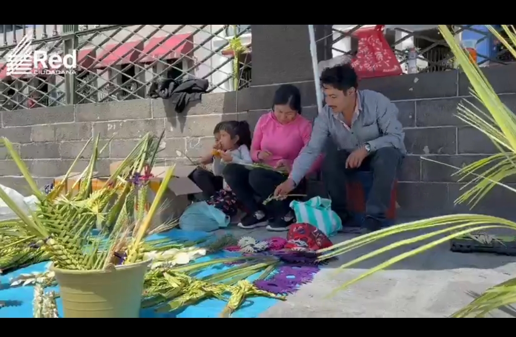 En la Sierra del Tentzo, una familia artesana mantiene viva la tradición del Domingo de Ramos al elaborar palmas que transmiten a nuevas generaciones.