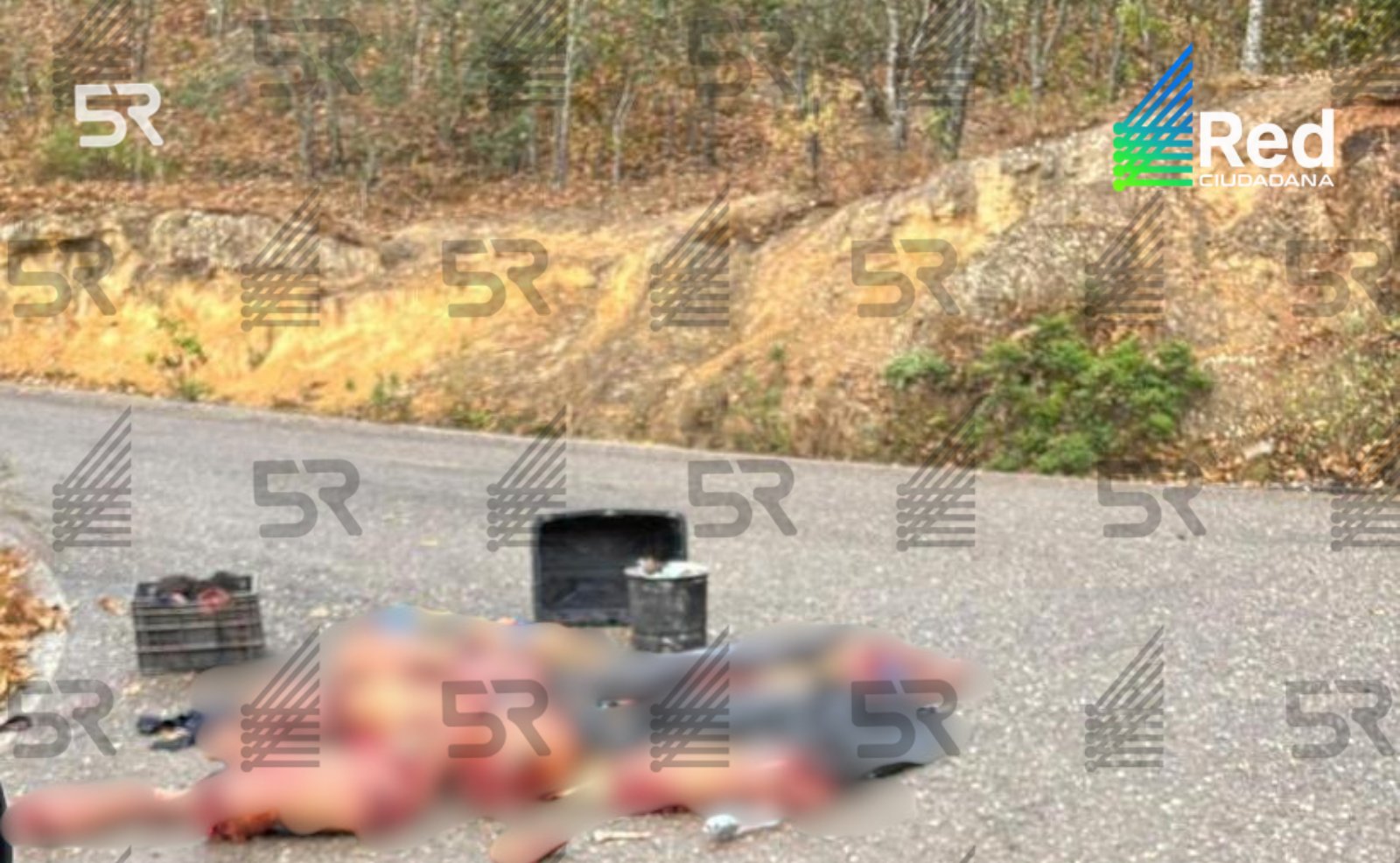 Autoridades localizaron restos de siete hombres en la carretera Tlapa–Olinalá, en la región Montaña de Guerrero.