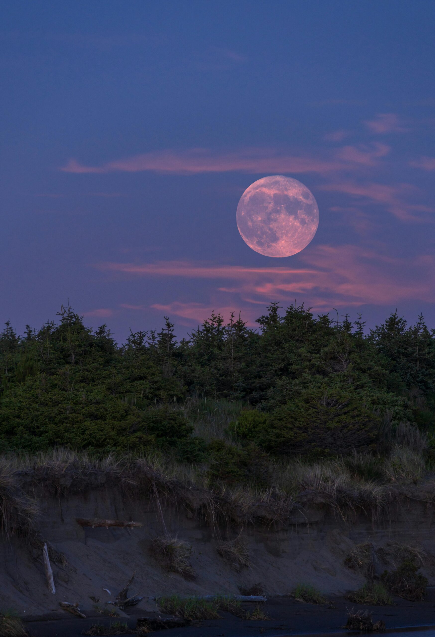 Especialistas destacan eventos como las Líridas, la Luna Rosa y encuentros planetarios que podrán apreciarse a simple vista en cielos despejados.